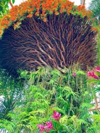 太原植物園，真不愧為天王嫂“昆凌”打卡的地方