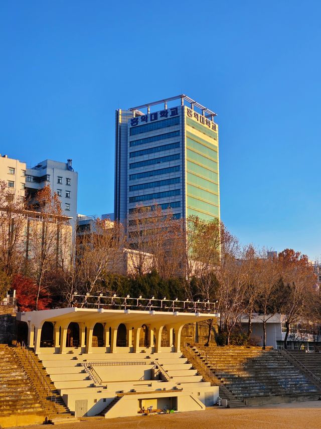 在弘益大學丨感受學府的藝術氣息