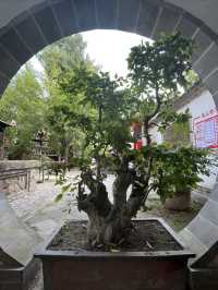 天水麻辣燙之行∣南郭寺，沒有南郭先生，卻有杜少陵