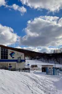 【北海道冬日奇遇】6天5晚，探索北國風光與城市繁華！