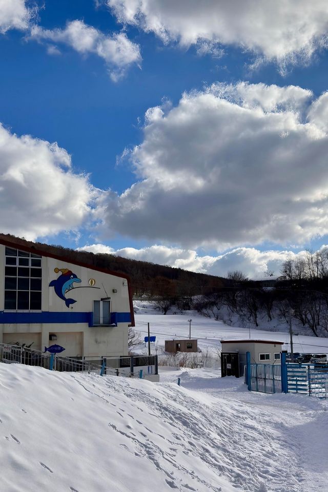 【北海道冬日奇遇】6天5晚，探索北國風光與城市繁華！