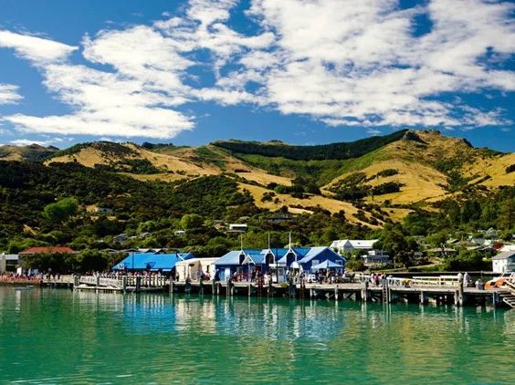 Christchurch—Day by Day, Chasing the Stars, Driving Under the Southern Cross! ✨