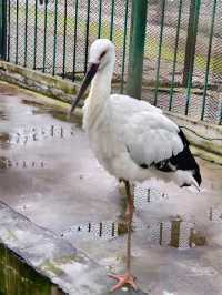 佳木斯水源山公園｜一起來邂逅靈動的自然妙趣吧！
