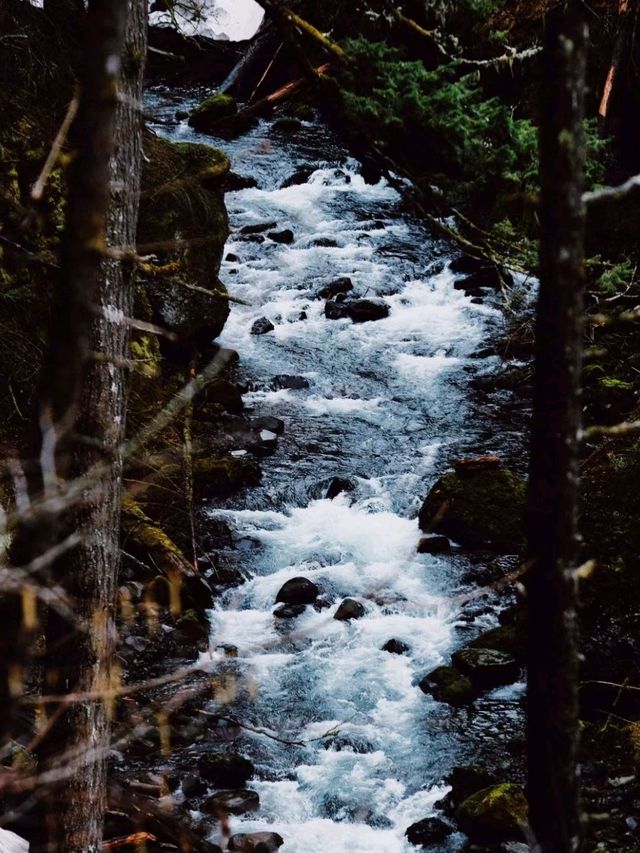  Elowah Falls in Multnomah is worth a visit🥰
