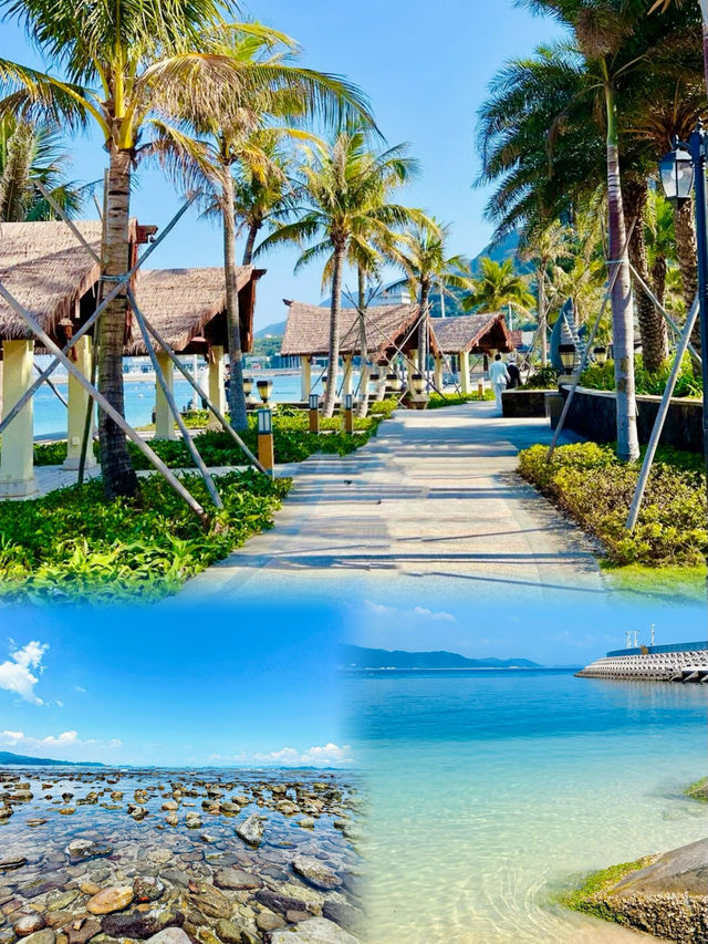中秋節來深圳：不花錢享受絕美海景的必看攻略