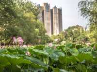 Xianyang’s Beauty