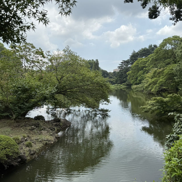 【東京旅行】新宿御苑-庭園寧靜時光与霓虹繁華景