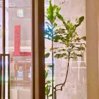 【廈門餐廳推薦】日常小聚，菜好吃，環境也不錯