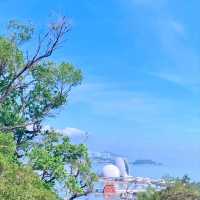 VEGETARIAN：3 DAYS  TRIP IN ZHUHAI