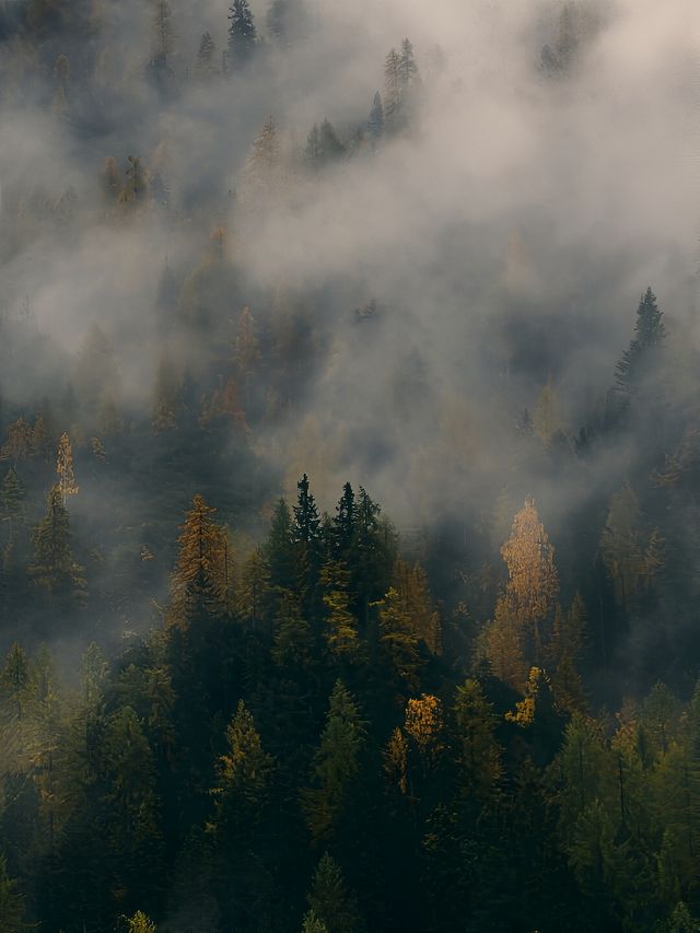 雲南哀牢山走紅！部分區域已被開發成景區。