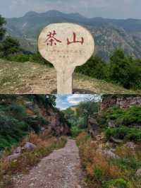 張家口蔚縣茶山。