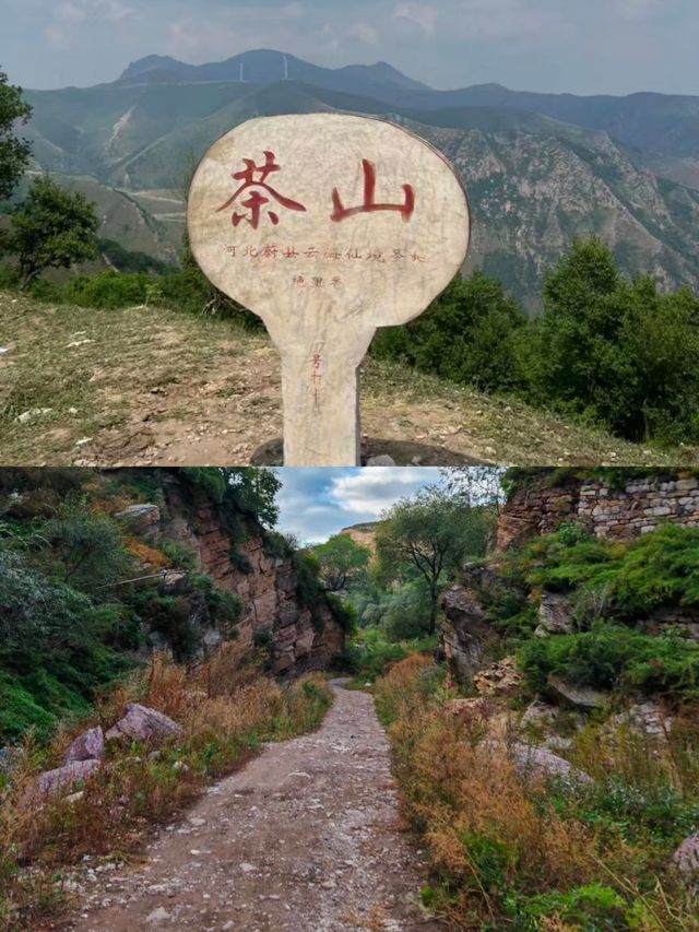 張家口蔚縣茶山。