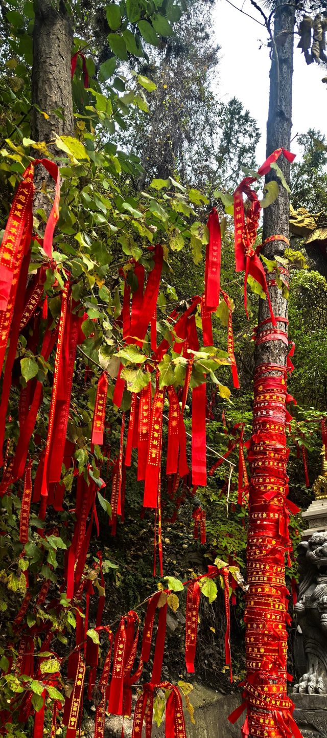 甘肅旅行指南。 甘肅旅行指南。