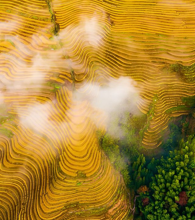 【賞秋進行時】南黃古道，登高賞秋。