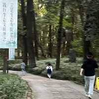 The sunset of Lingfeng Mountain in Anji