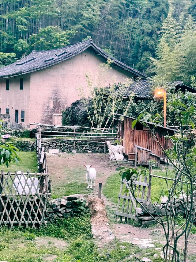 愛上溫州的N個理由。