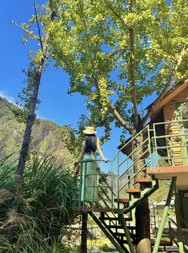 沒有出國！！格林童話般小木屋！好浪漫。