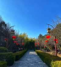 銅川市藥王山|文化底蘊深厚。