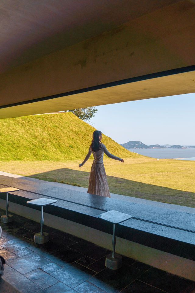 墜入五彩童話世界 | 溫嶺石塘鎮冬季夢幻之旅。