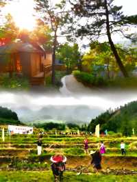 金子山的春寒料峭，遇見不一樣的雲海仙境