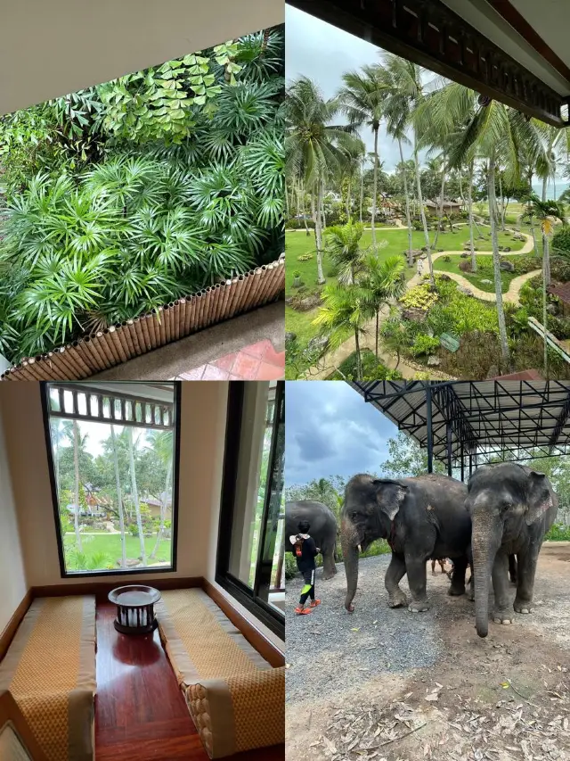 Mai Khao | A Great Family Choice