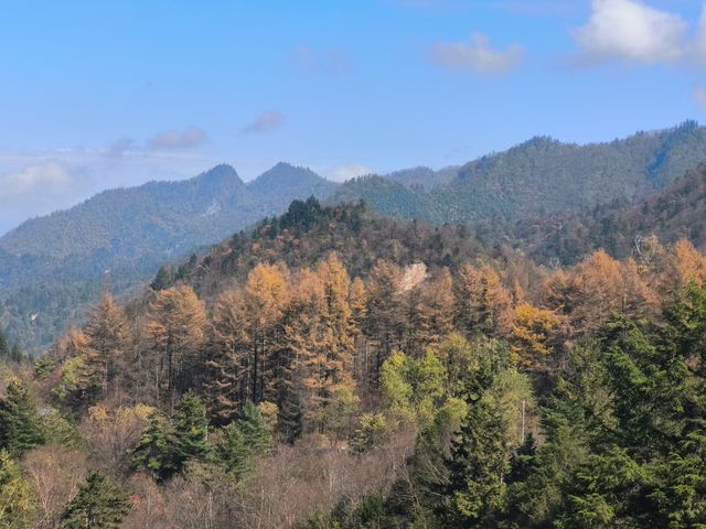 平河梁：將大地點綴成絢麗多姿的四季之美
