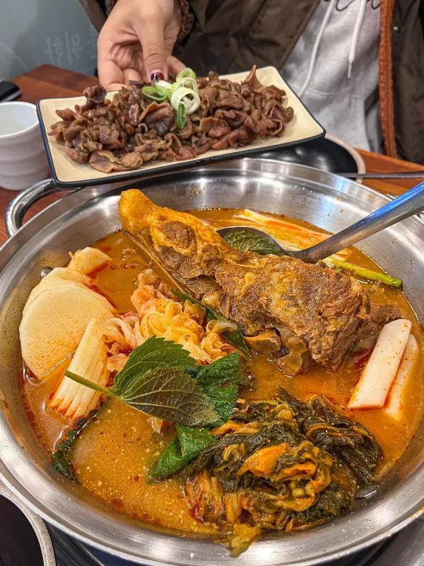 韓国でしか味わえない！おすすめのカフェとグルメスポット