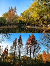 濟南森林公園，小朋友的天堂！！