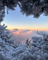 杭州出發｜12月23日 太子尖觀雪賞霧凇