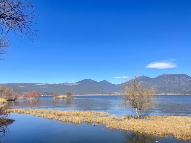 拉市海濕地公園