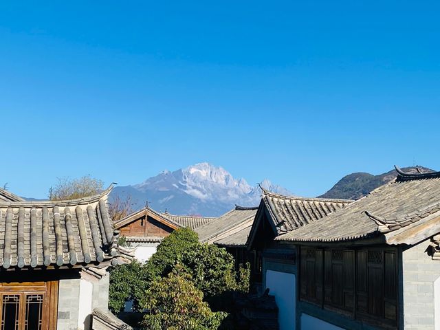 陽光麗江，冬日盛景 在麗江，陽光與雪山撞個滿懷。