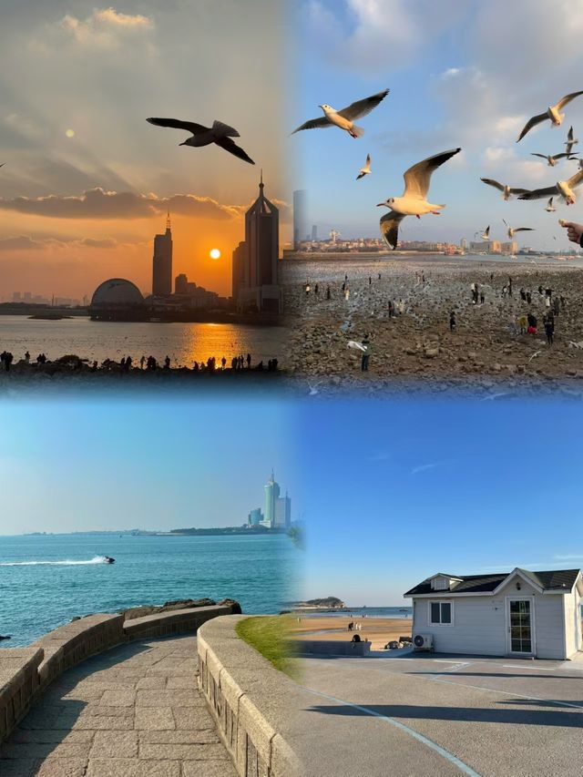 青島旅遊已經回覆不建議現在去青島，因為太美了