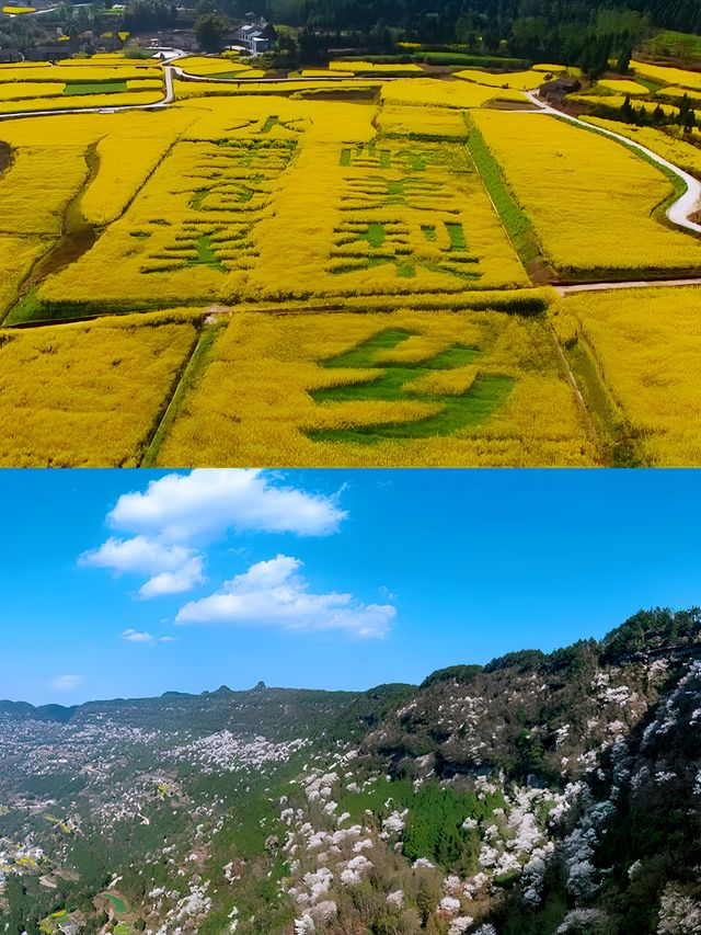 探秘蒼溪梨文化博覽園，品味千年梨韻