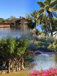 邂逅龍崗龍潭公園，盡享唯美時光