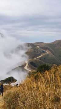 漫山蘆葦的惠州大南山徒步廣東小武功山