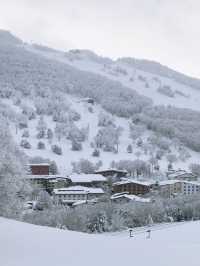 Explore the Dynamic Skiing Experience at Shiga Kogen Ski Resort in Nagano