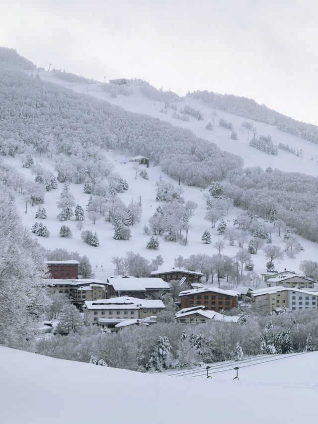Explore the Dynamic Skiing Experience at Shiga Kogen Ski Resort in Nagano
