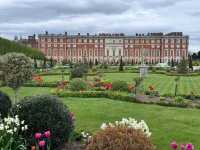 Complete Guide to the Hampton Court Palace Tulip Festival