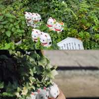東京今戶神社景點攻略🐱 招财猫發源地