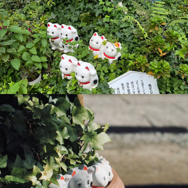 東京今戶神社景點攻略🐱 招财猫發源地