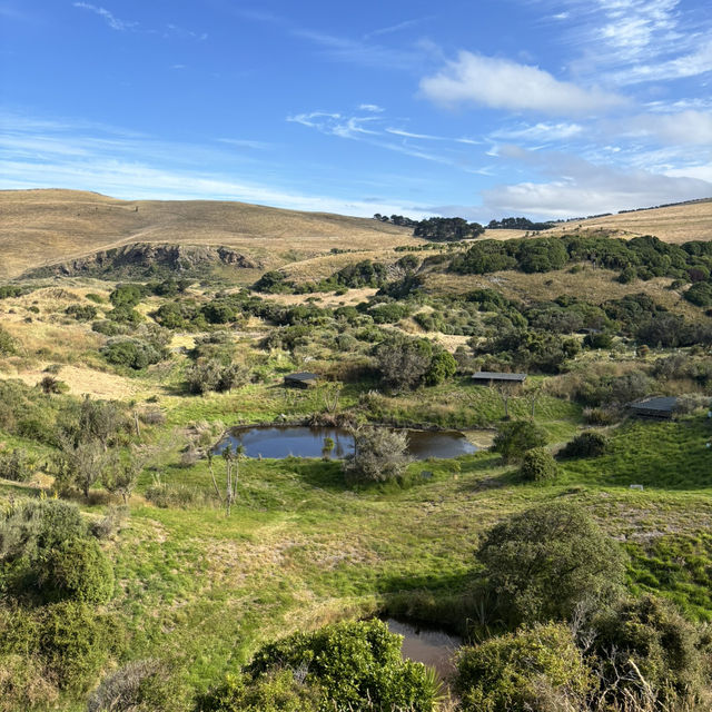 New Zealand South Island 