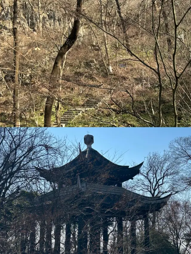 棲霞山，秋日勝景美不勝收