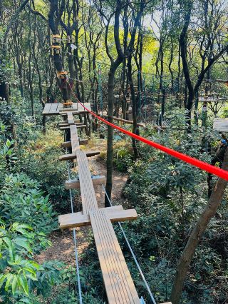 Jiangmen Dayan Mountain | Exciting Jungle Adventure Park