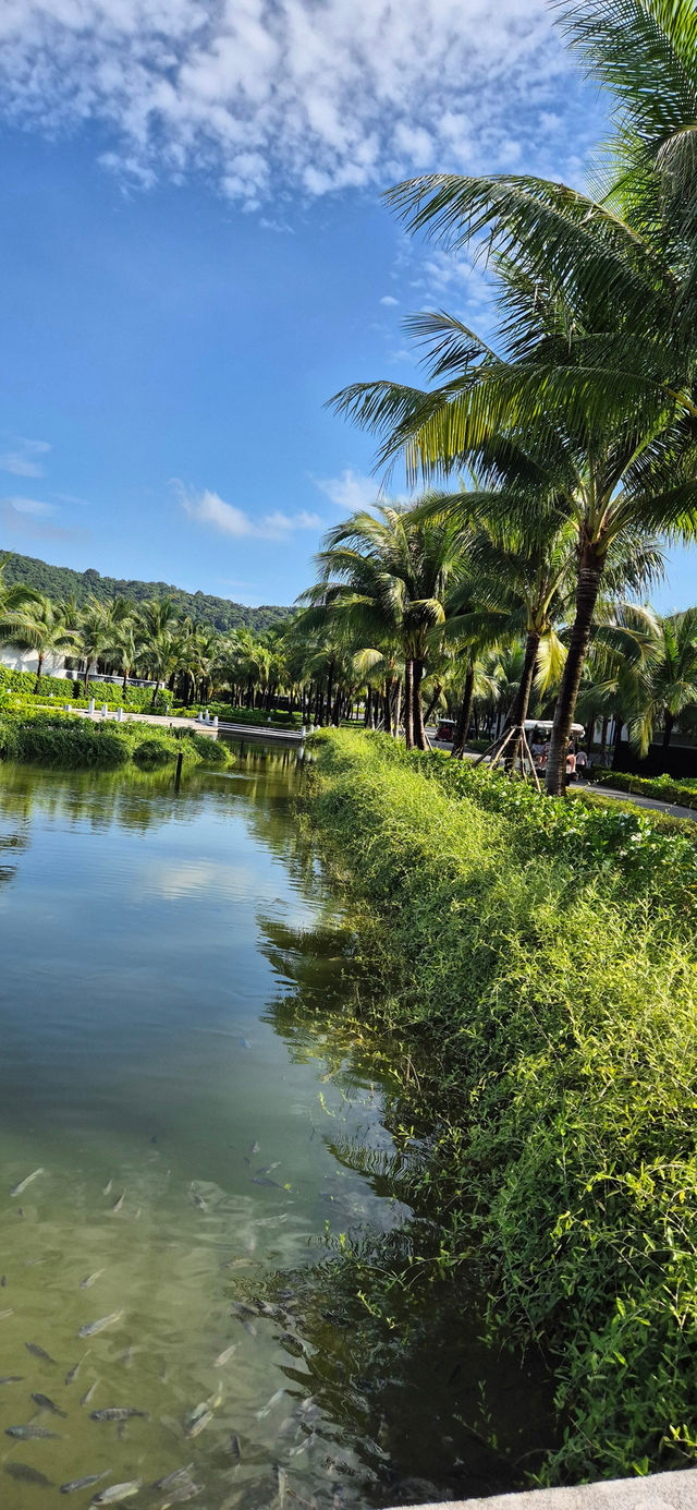 富國島⎪New World Phu Quoc Resort：度假首選   酒店：New World