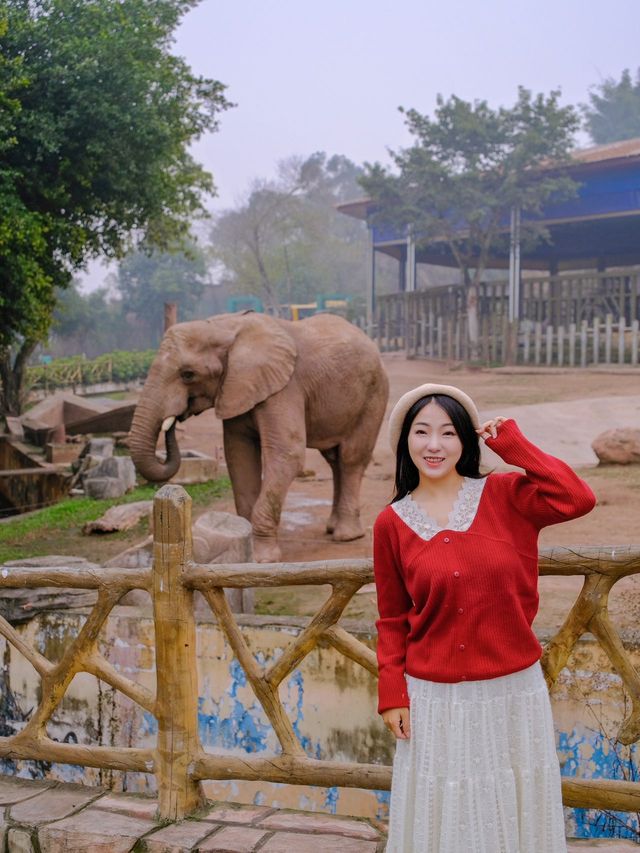 重慶周邊遊！和動物一起過春節！