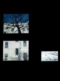 ［少排隊攻略］東京|坂本龍一展|體驗感拉滿