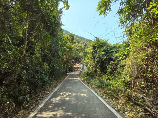 霸王嶺熱帶雨林國家公園