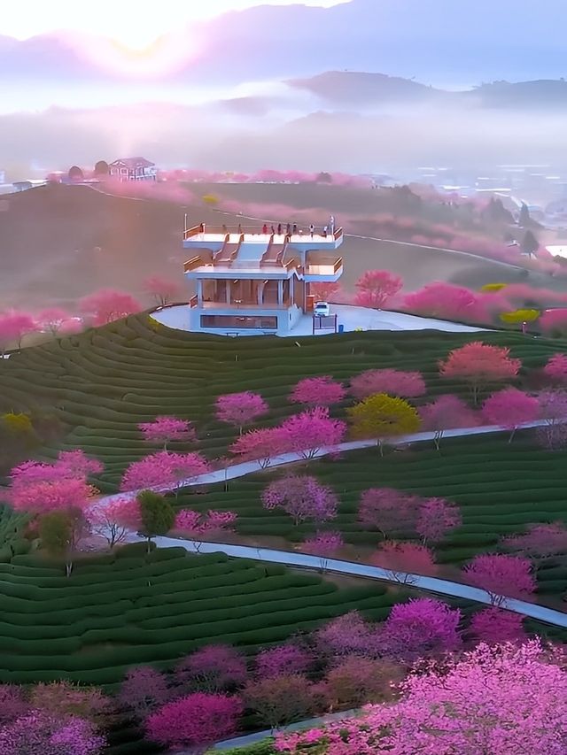 春遊記 | 《國家地理》誠不欺我，福建的春天美得讓人心醉