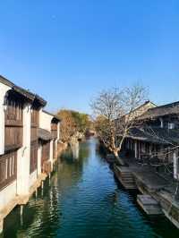 隨意打開一扇窗，已是風景如畫