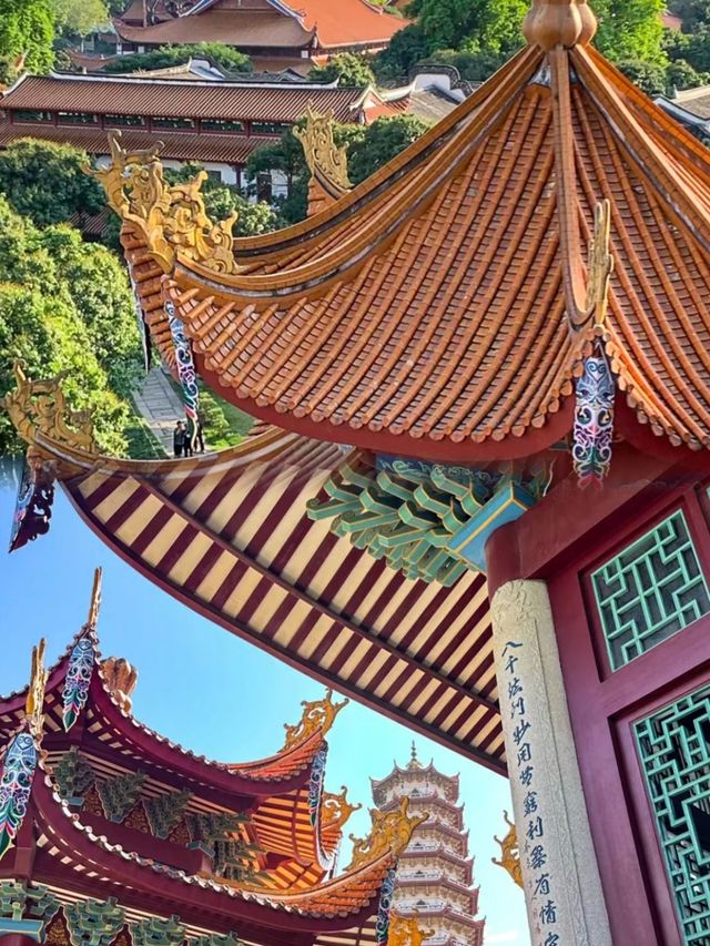 福州Citywalk|於鬧市中尋一片寧靜禪境! 福州Citywalk|於鬧市中尋一片寧靜禪境!